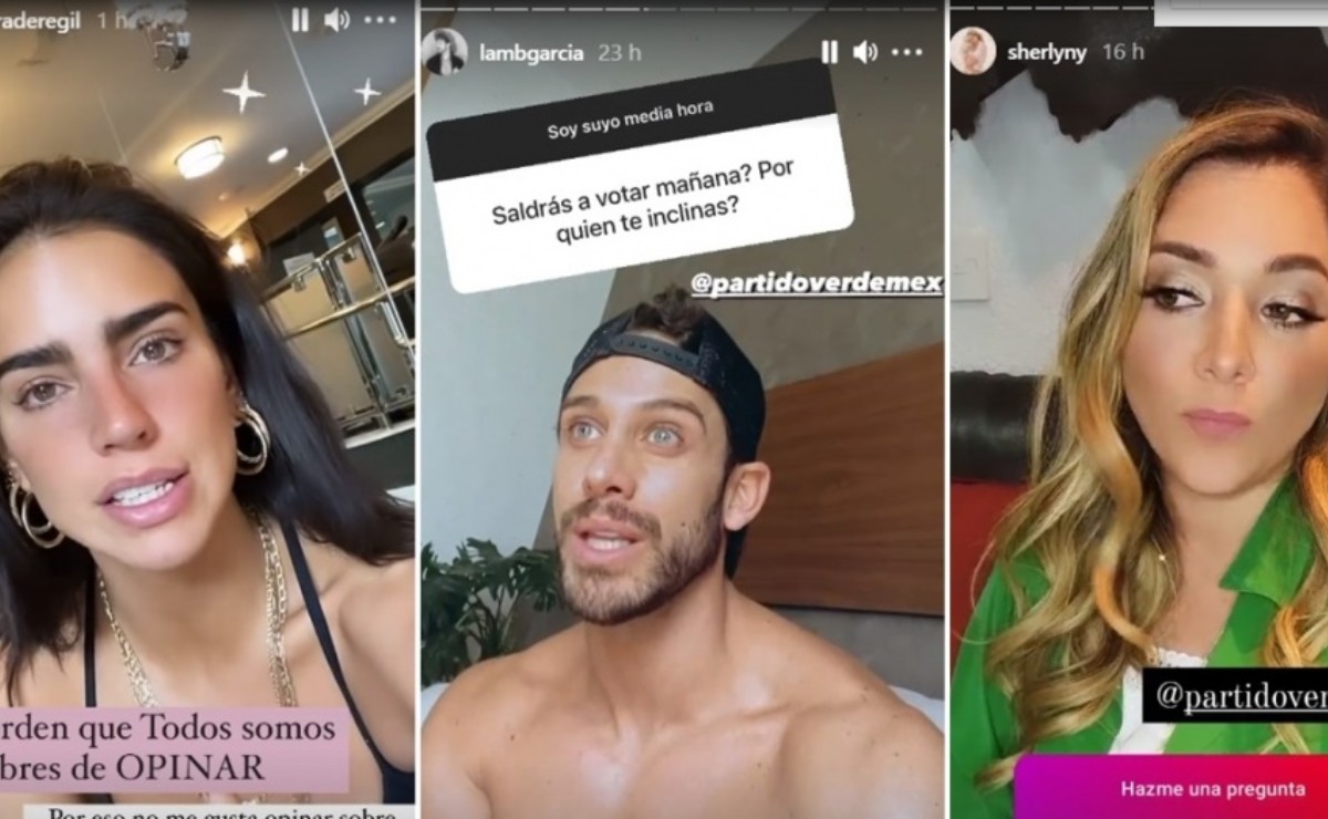 PVEM pagó 20 millones de pesos a influencers, calcula INE; propone multa  por 40 mdp | El Universal Puebla