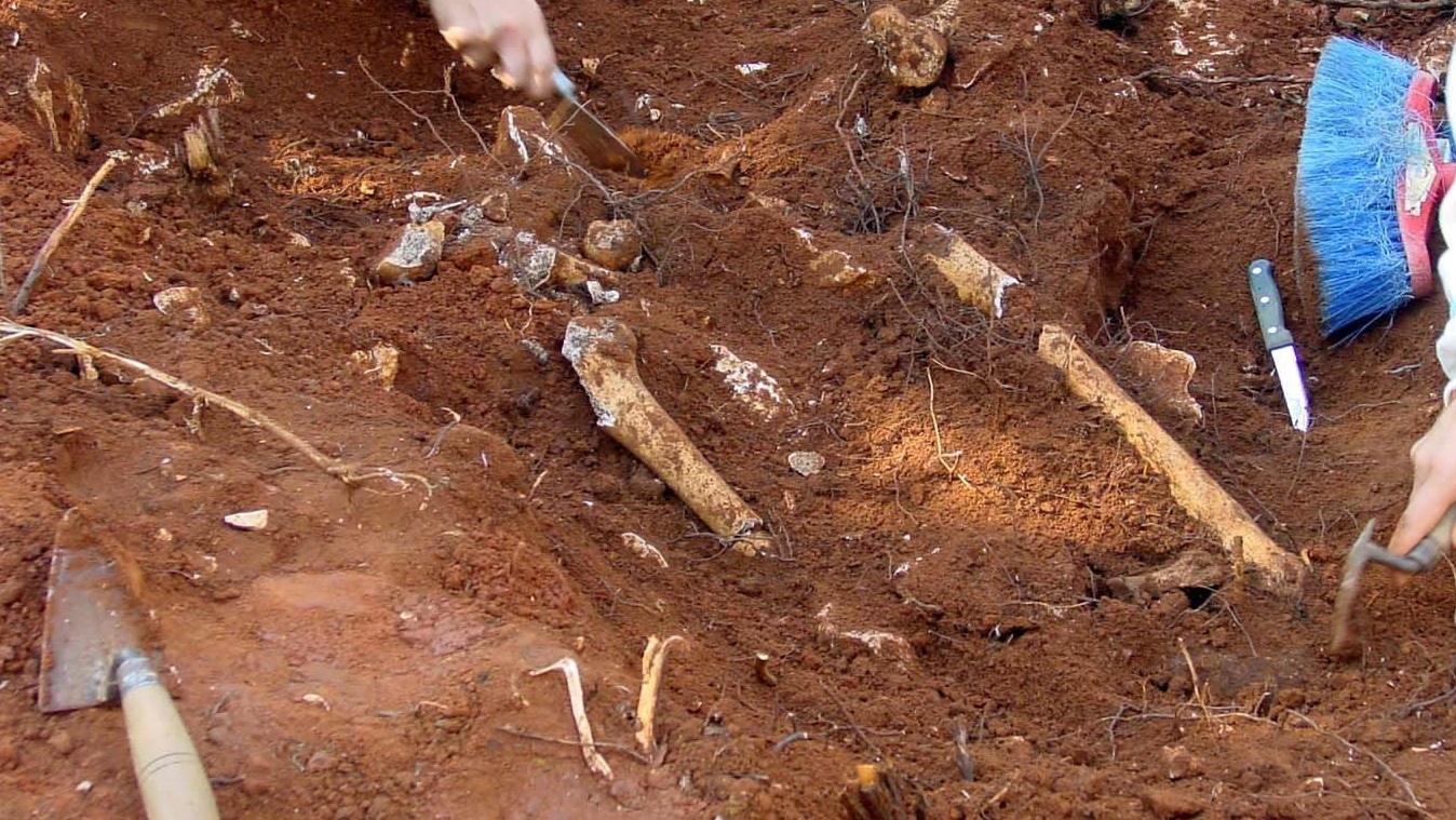 Incendiaron dos iglesias en Canadá tras el hallazgo en un internado  católico de tumbas sin identificar con restos de 750 niños indígenas -  Infobae