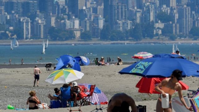 Ola de calor en Canadá: al menos 130 muertos en medio de temperaturas  récord - BBC News Mundo