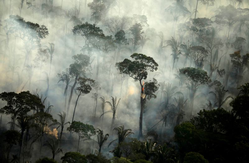 Incendios en la selva amazónica de Brasil aumentan en julio; analistas advierten de escenario peor