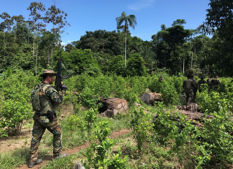 Perú rechaza reporte de EEUU que advierte repunte de producción de cocaína y hoja de coca