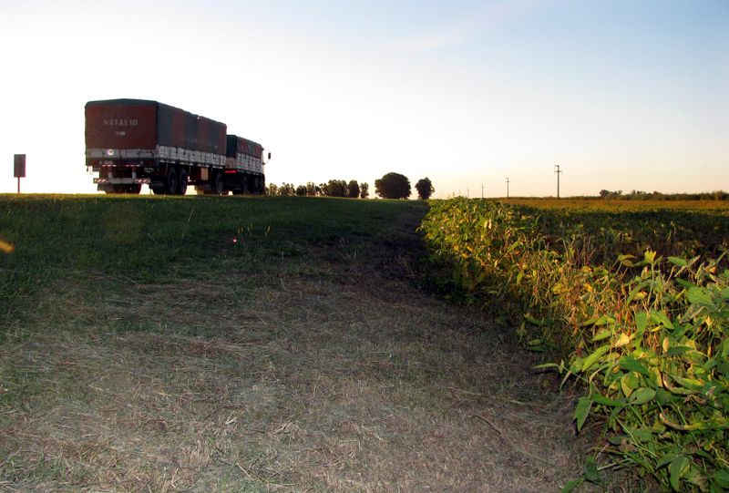 Importaciones soja UE en inicio temporada 2020/21 caen 6% interanual a 1,37 mln toneladas