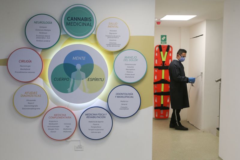 Clínica de marihuana medicinal abre en Colombia para curar el cuerpo y la mente durante pandemia