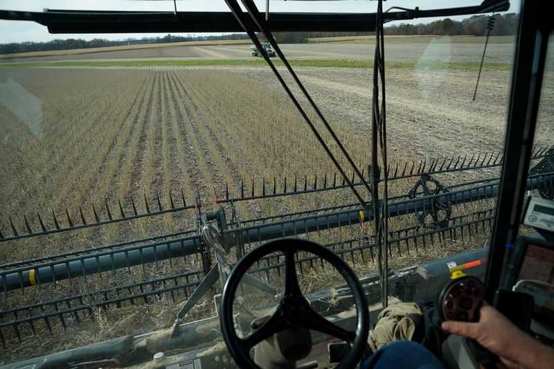 USDA confirma venta de soja EEUU a China en medio de crecientes tensiones comerciales