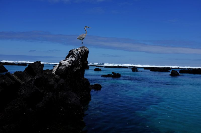 Ecuador dice que China acepta supervisión de barcos pesqueros en cercanía de Islas Galápagos