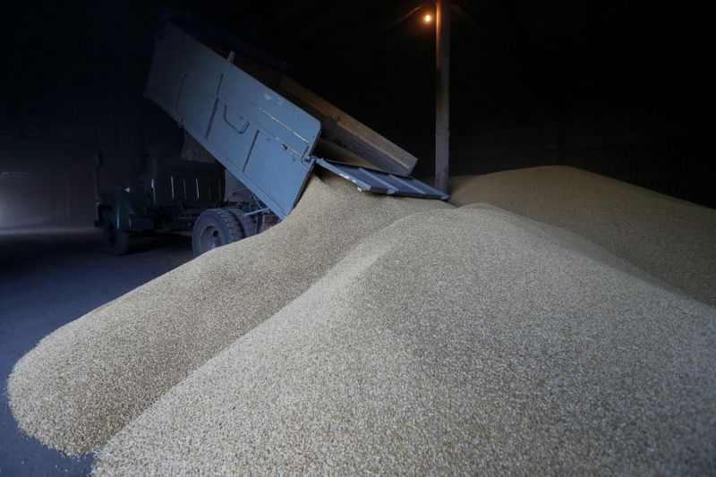 ProAgro eleva proyección de cosecha de granos de Ucrania a máximo histórico