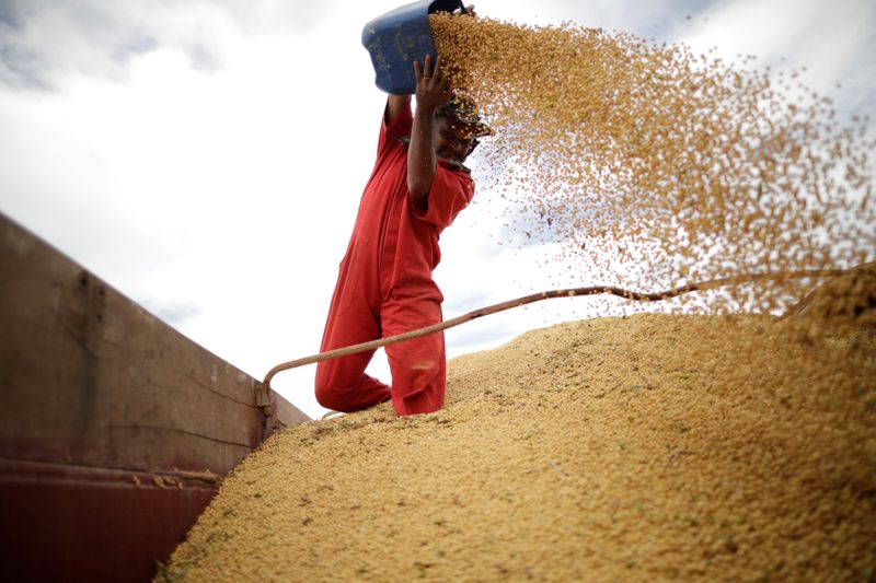 Importaciones de soja de China aumentan 18% en julio tras arribo de embarques de Brasil