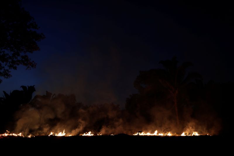 Incendios en el Amazonas aumentan en agosto en medio de temores por destrucción de la selva