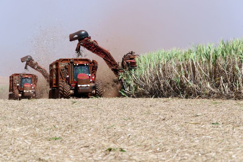 Producción de azúcar de Brasil trepa 37% a fines de julio: grupo de la industria