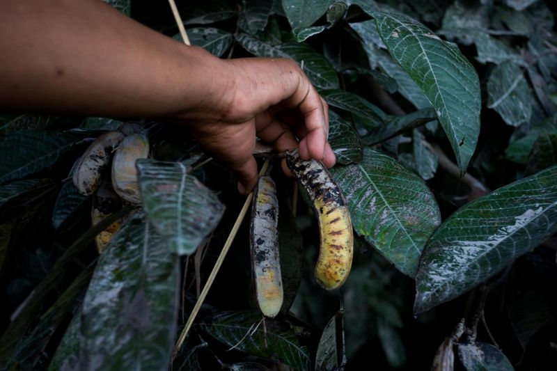 EXCLUSIVA-Bancos europeos enfrentan llamado indígena para poner fin al comercio de crudo en la Amazonía