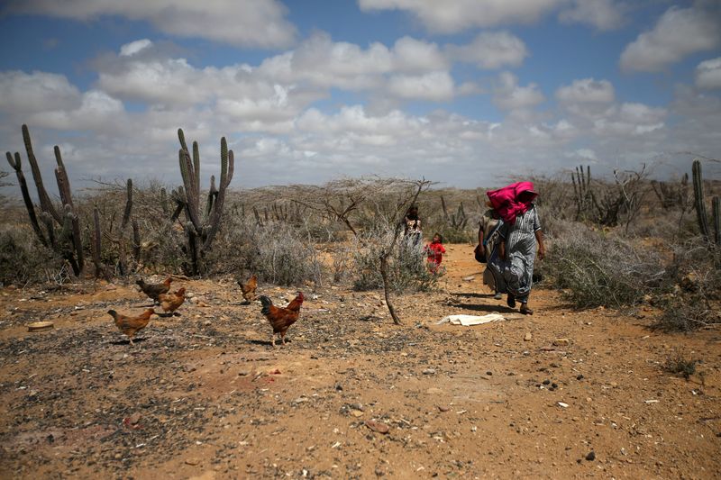 Coronavirus dificulta la supervivencia de indígenas wayuu en Colombia: informe