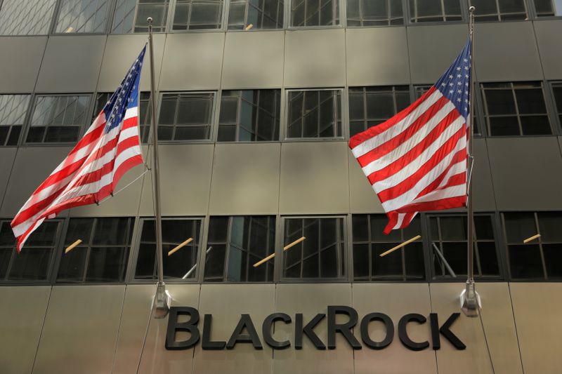 Consorcio de BlackRock presenta única propuesta licitación tramo de Tren Maya en México