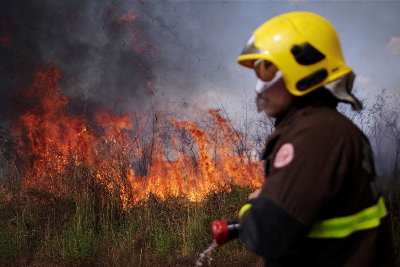 Incendios amenazan el mayor humedal del mundo en Brasil