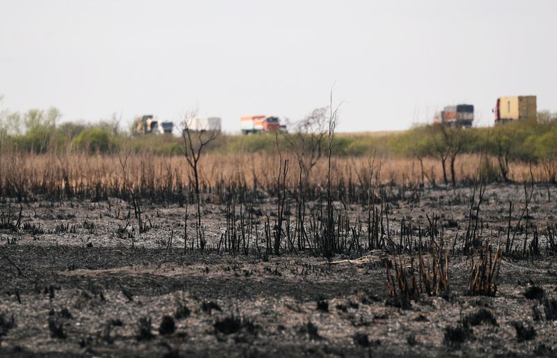 Humedales de Argentina sufren los peores incendios en más de una década