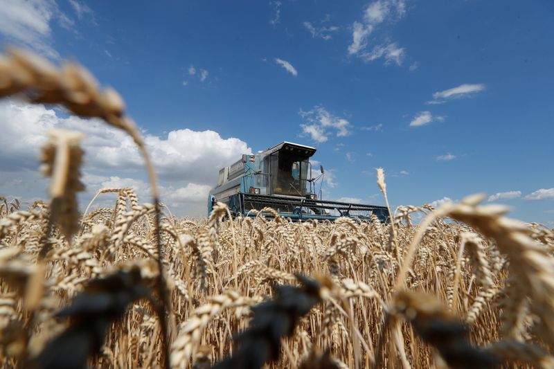 ProAgro recorta previsión de exportaciones granos Ucrania en 2020/21 a 53,1 mln toneladas