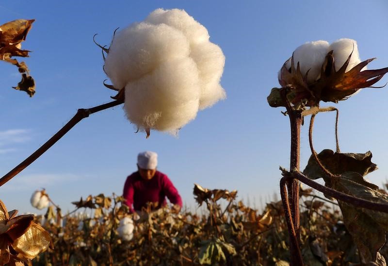 EEUU bloqueará importación algodón y productos de tomate de región china de Xinjiang por abusos DDHH
