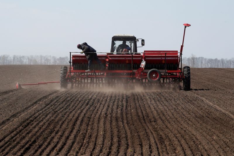 Clima seco complica la siembra de cereales de invierno en Rusia y Ucrania