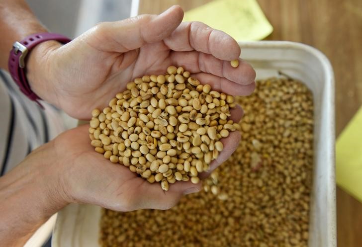 Soja extiende repunte porque China sigue comprando, mercado espera informe del USDA