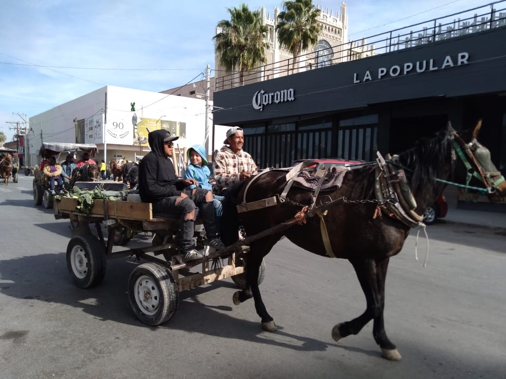 Exigen laguneros prohibir los carromatos en Torreón