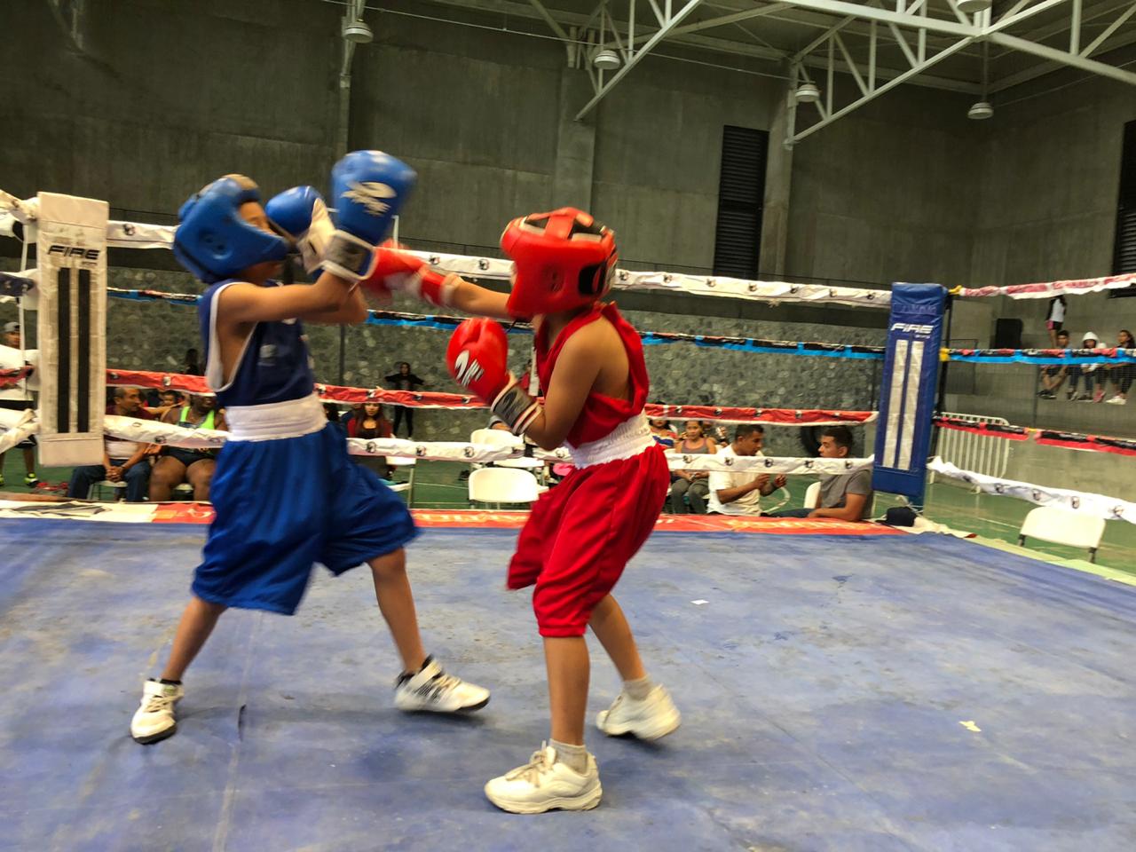 Proponen diputados regular el box y la lucha libre en Coahuila