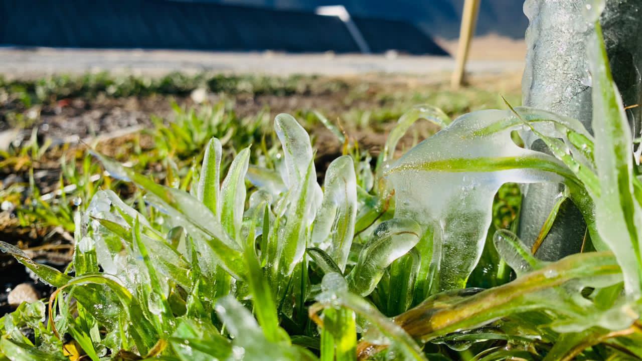 Arteaga se “congela”; despiertan con 11 grados bajo cero