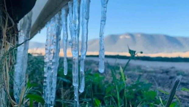 Arteaga amanece con ¡seis grados bajo cero!