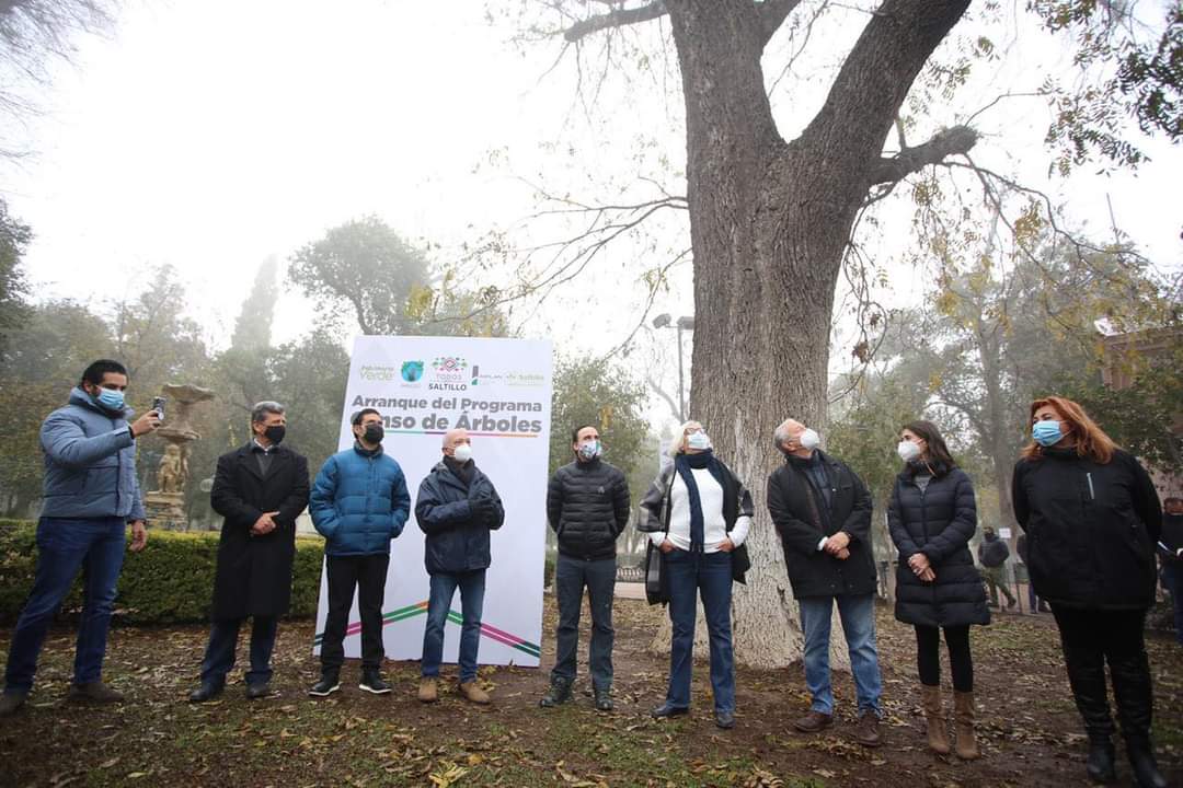 Arranca censo de árboles en Saltillo