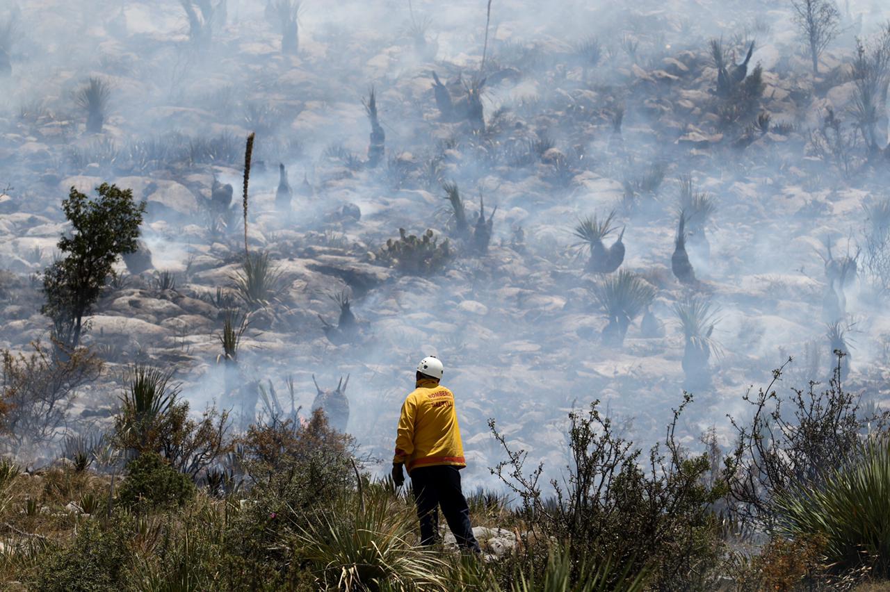 Destacan coordinación para combatir incendios
