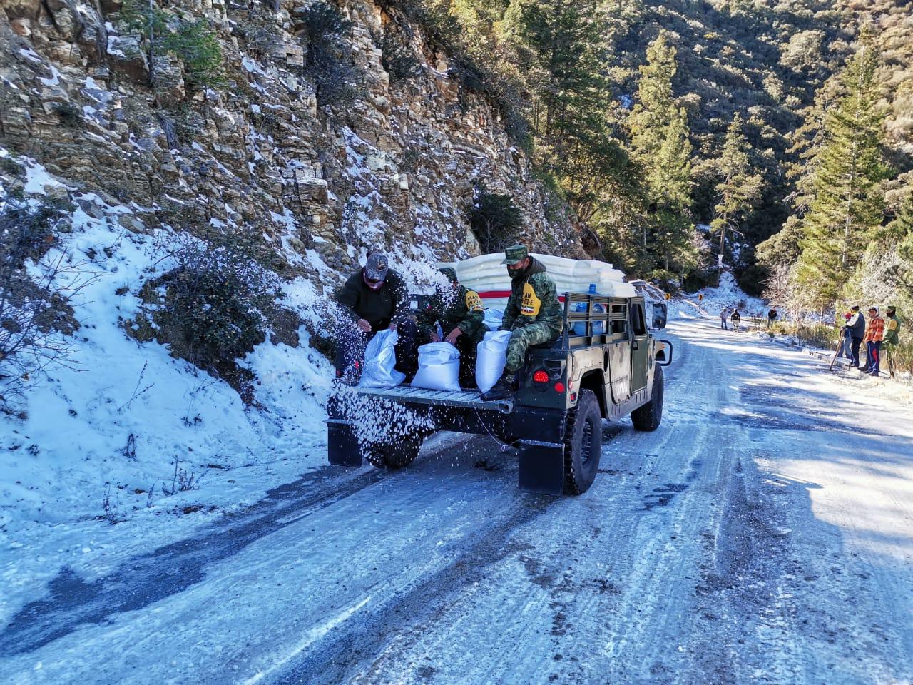 Nieve podría durar un mes en sierra de Arteaga
