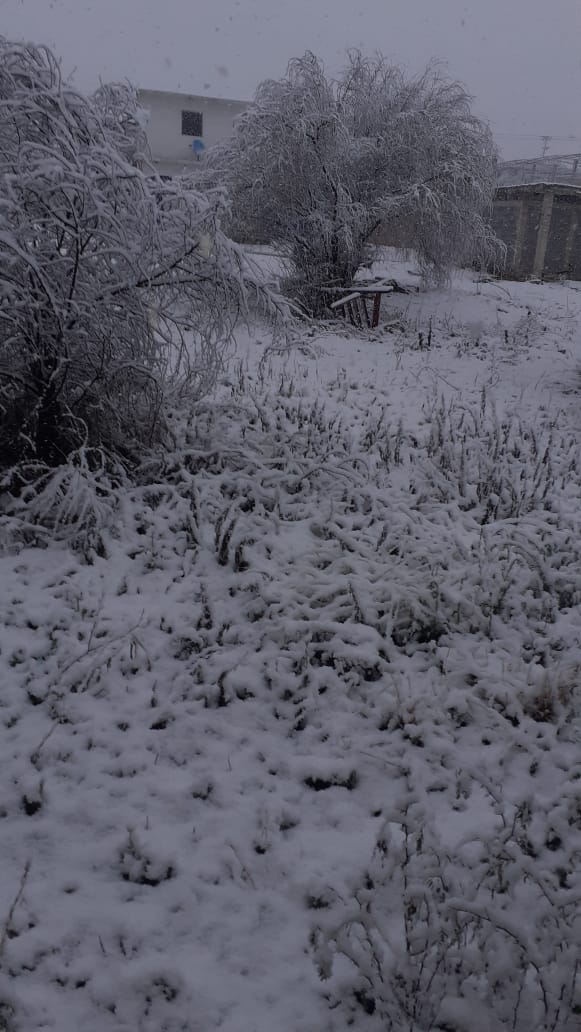 Vuelve a nevar en la región Norte del estado