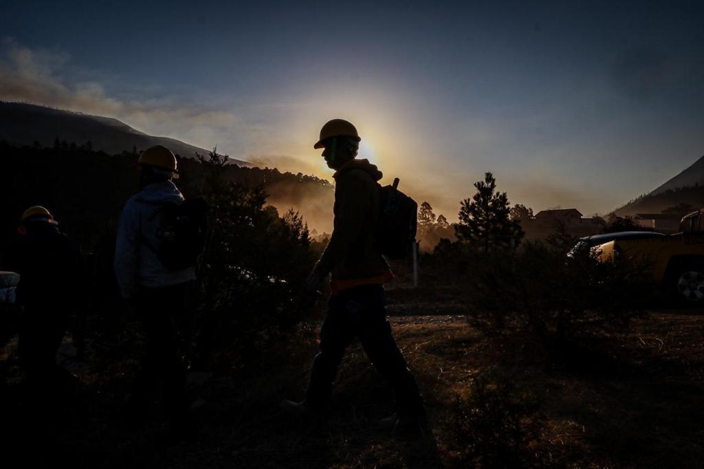 Avanza 40 por ciento control de incendio en Arteaga