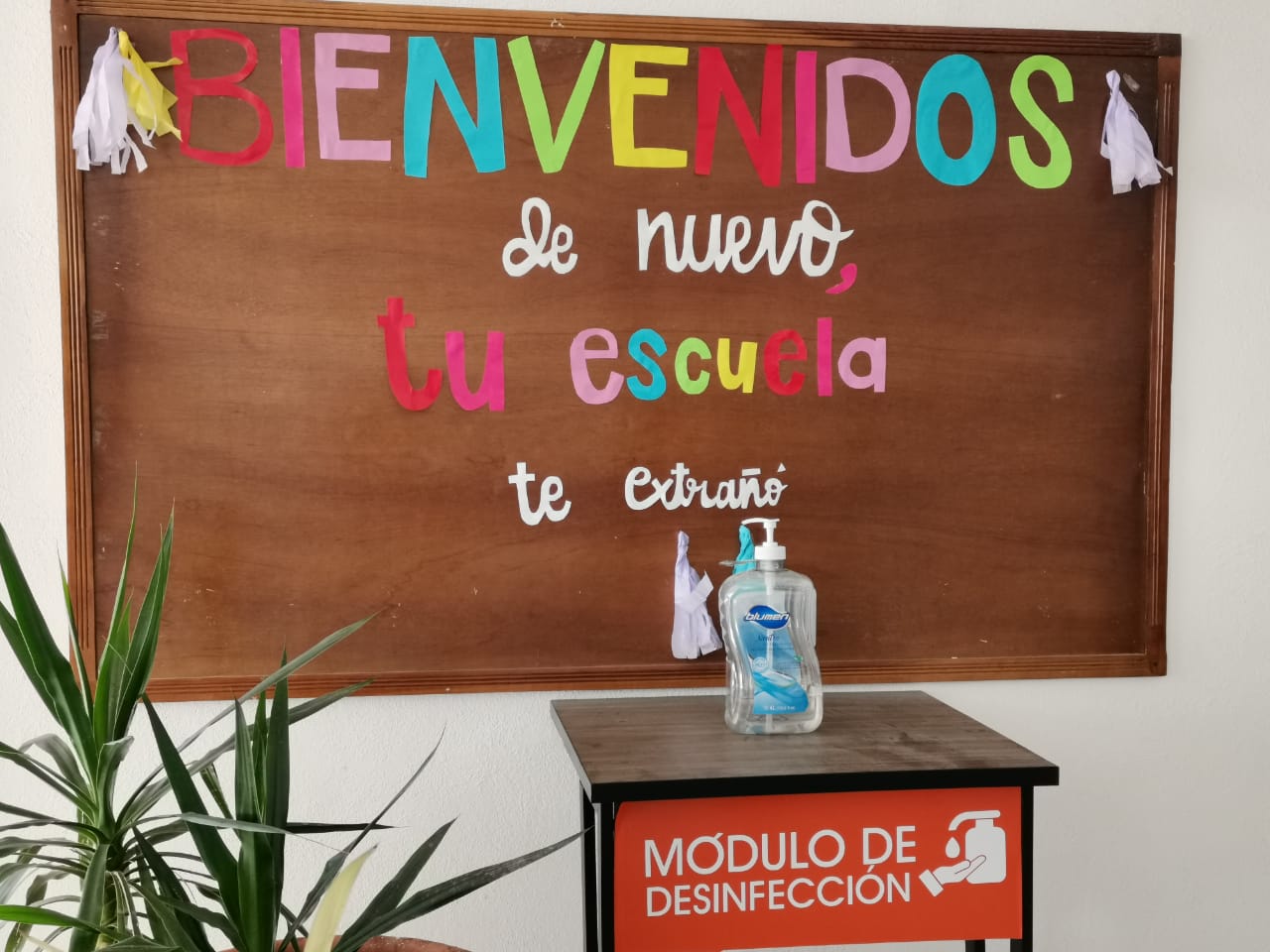 Colegio Montessori de Saltillo se suma a educación híbrida