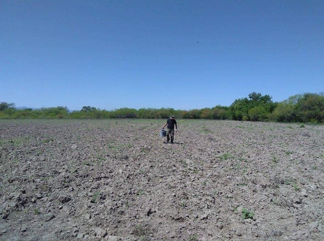 Permanecen campos en el olvido por la 4T, sobreviven con recurso estatal