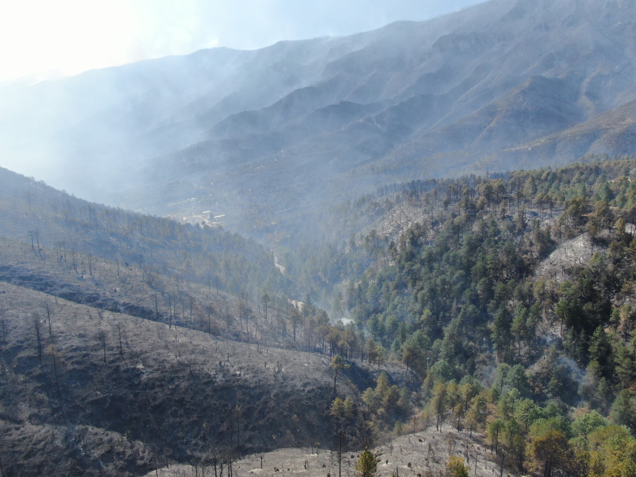 Identifican a responsables del incendio en la sierra de Arteaga