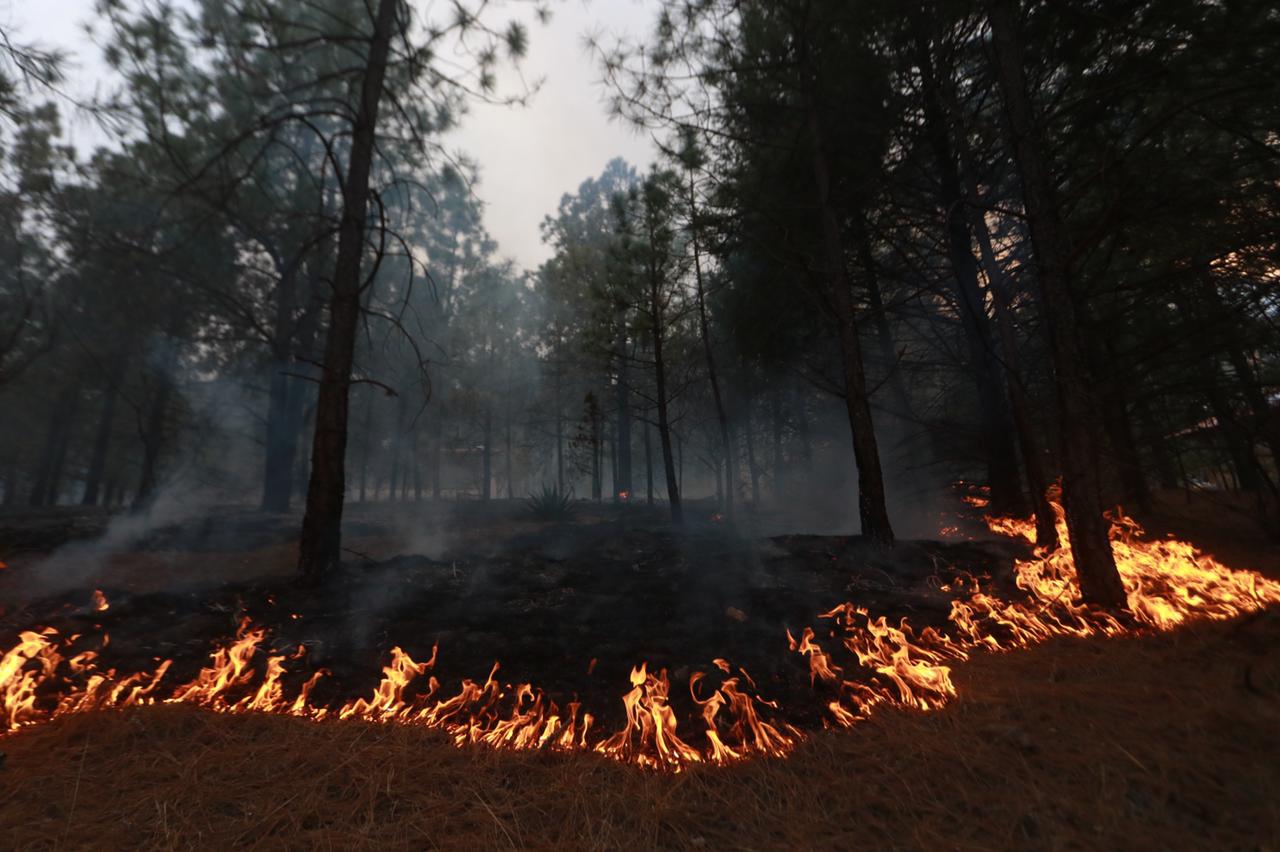 Suman cerca de 3 mil 500 hectáreas afectadas por incendio forestal