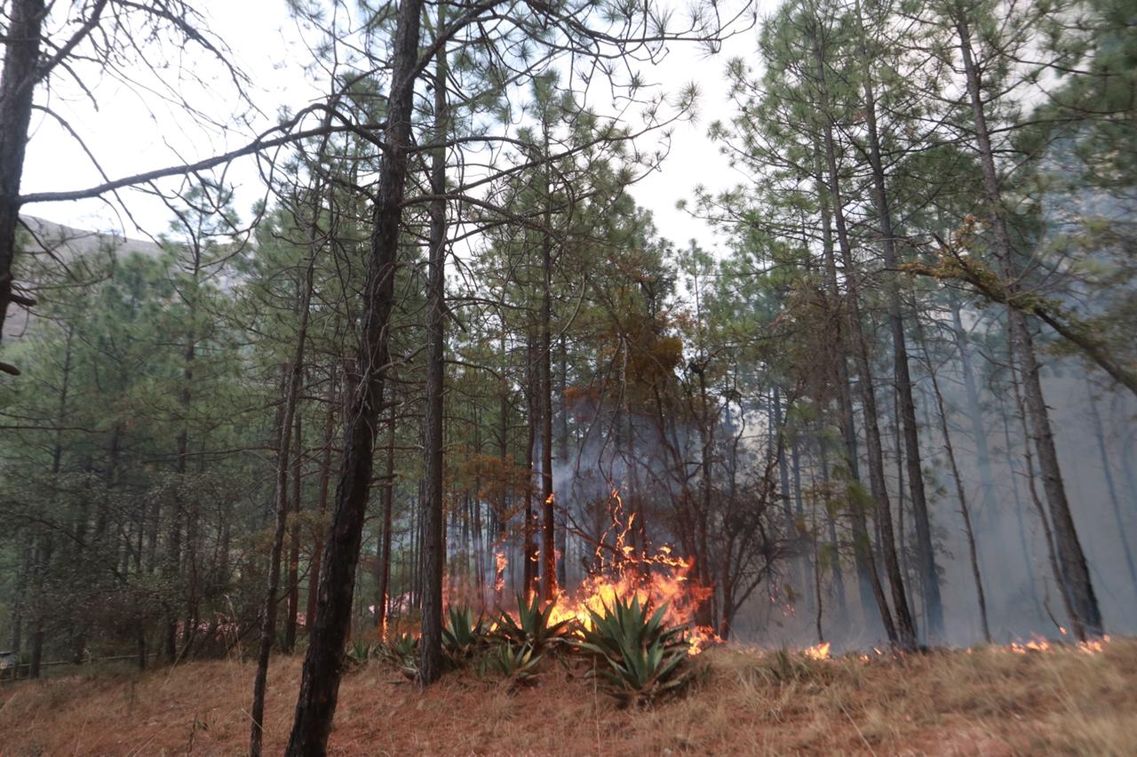 Incendio en Arteaga inició en el asador de una cabaña
