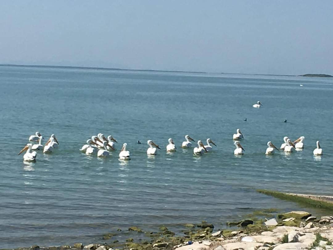 Prohibirán entrada de turistas a comunidad de Juárez