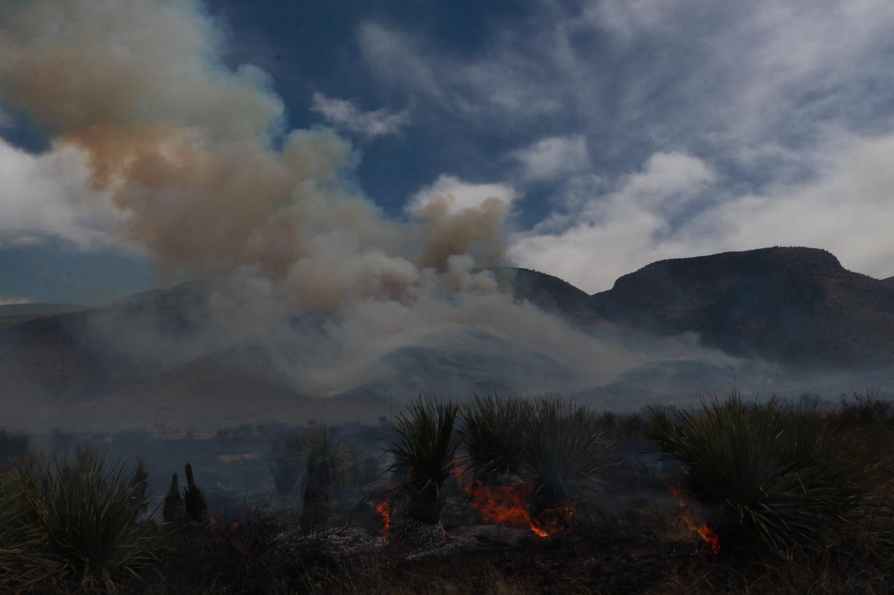 Reportan un 70% de control en incendio de la Sierra Zapaliname