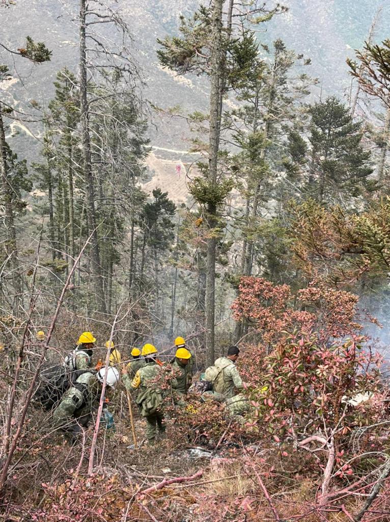 Aún no se logra la detención de los responsables del incendio en La Pinalosa