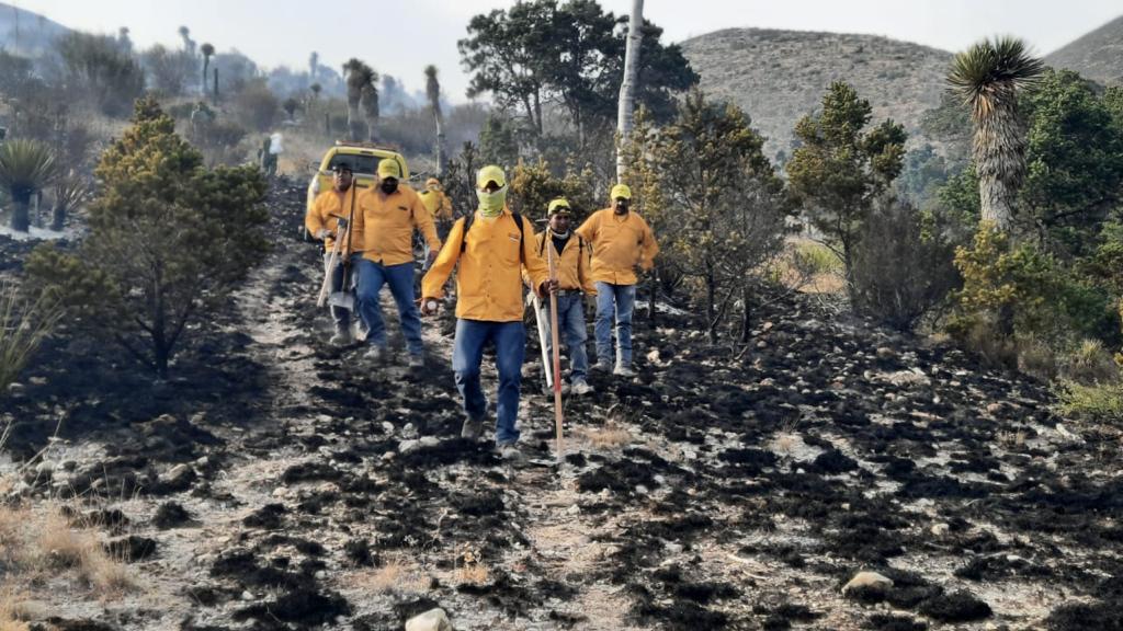 Siguen los incendios, uno más en Arteaga