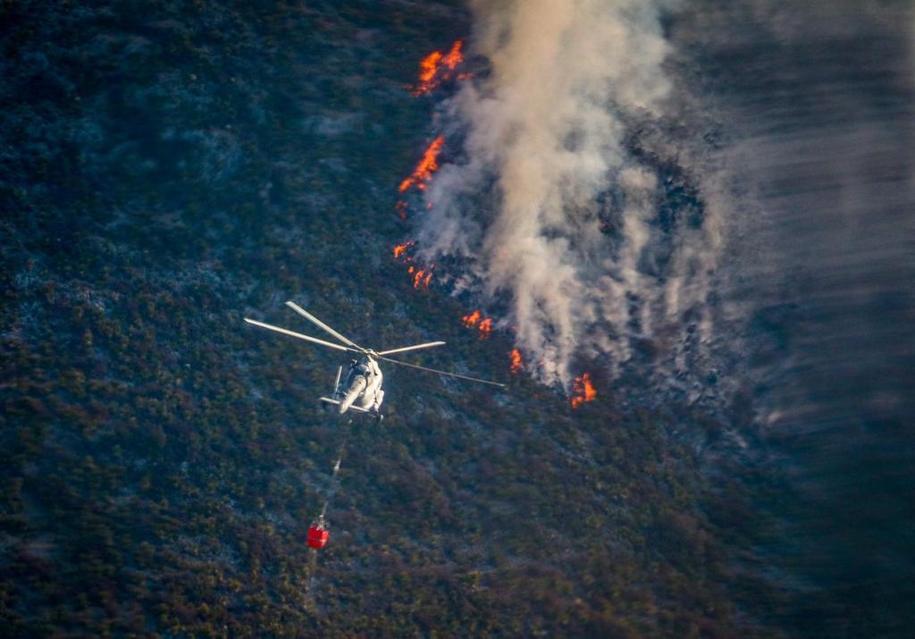 Incendios forestales, un daño que tardará hasta un siglo en sanar