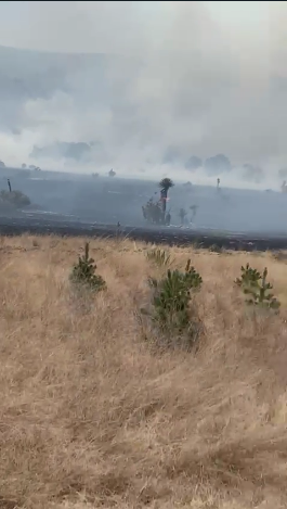 ÚLTIMA HORA: Se registra nuevo incendio forestal en Arteaga