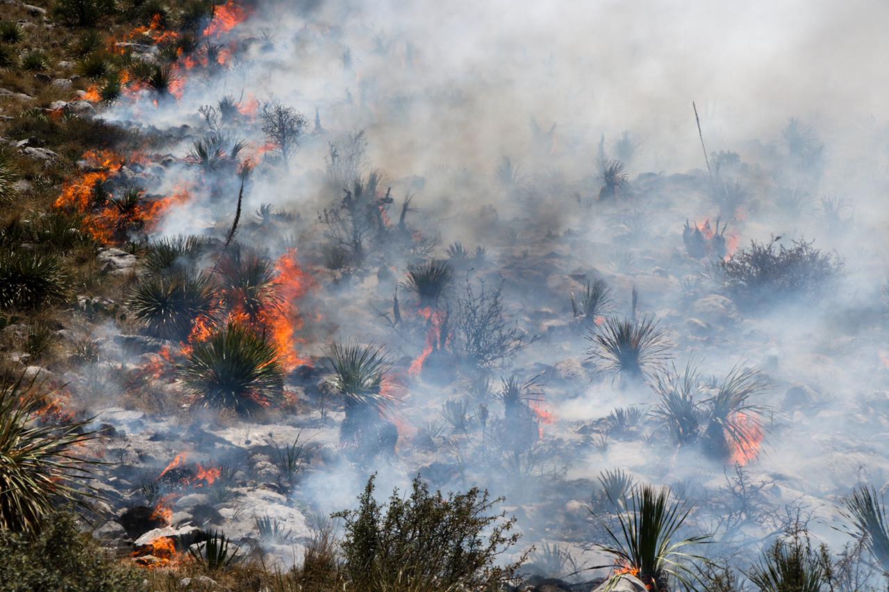 Se registra incendio en Monterreal