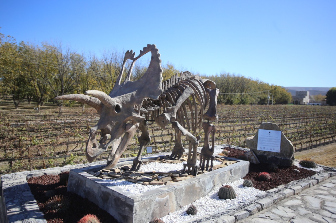 Premian a Vinos & Dinos en Madrid