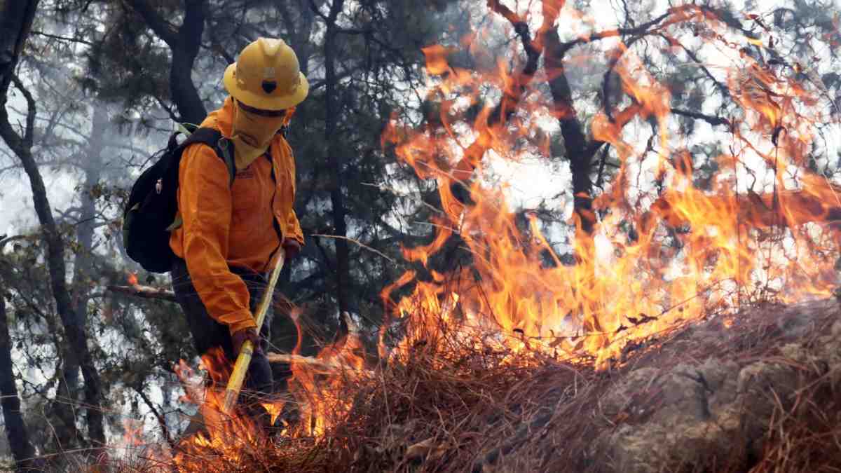 Afectaron más de 6 mil hectáreas los 47 incendios del primer semestre