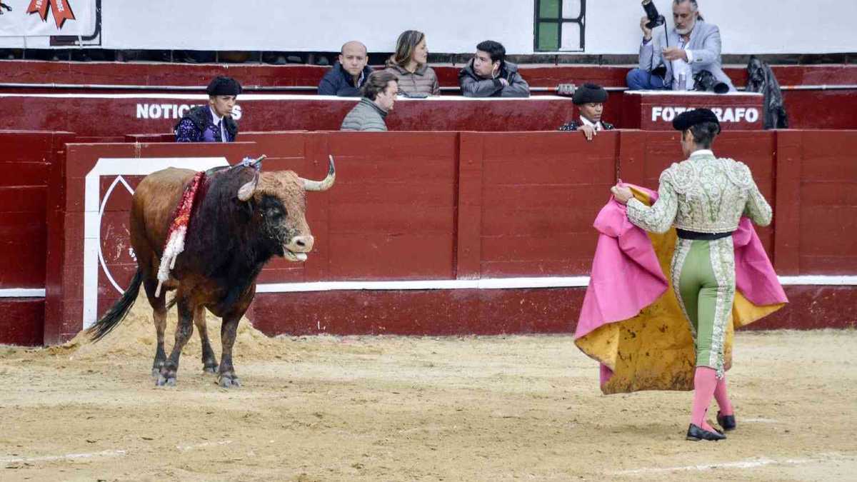 Regreso de la Fiesta Brava sería un retroceso para el estado