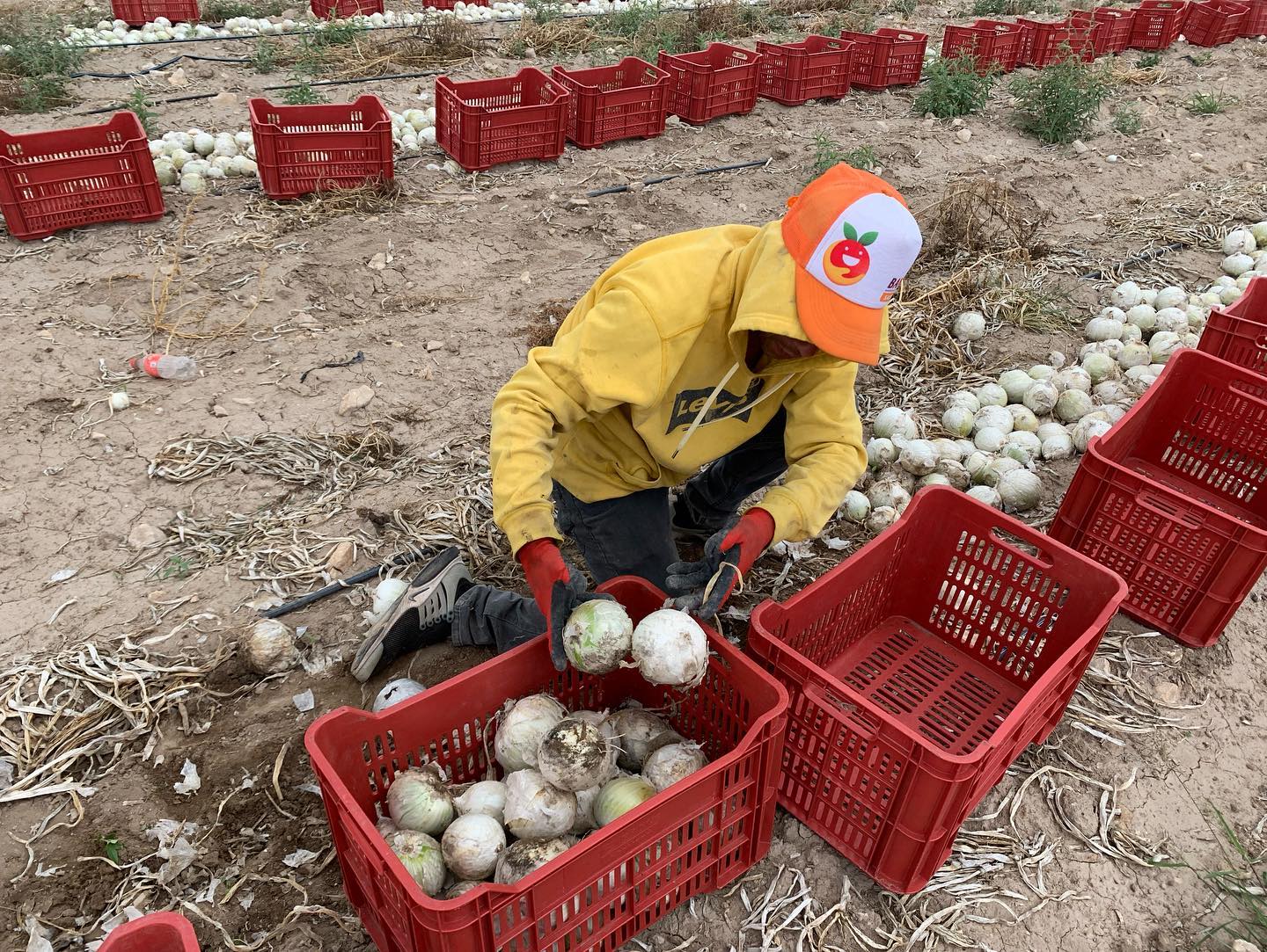 Aumentó en pandemia atención en el Banco de Alimentos