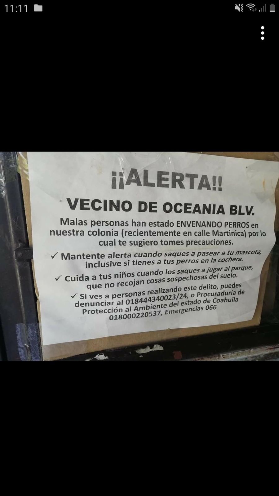Vecinos alertan por presunto envenenamiento de perros en colonia de Saltillo