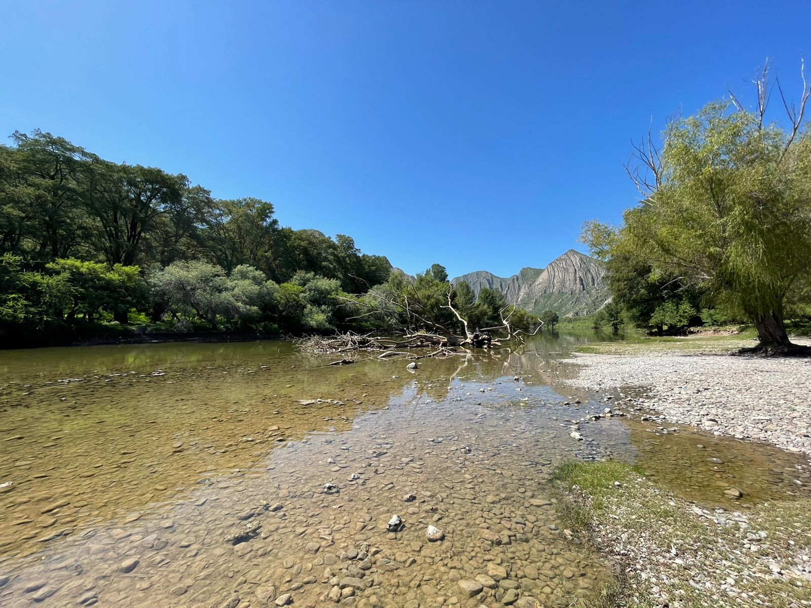 Piden ambientalistas intervención de la UNAM en proyecto de Agua Saludable