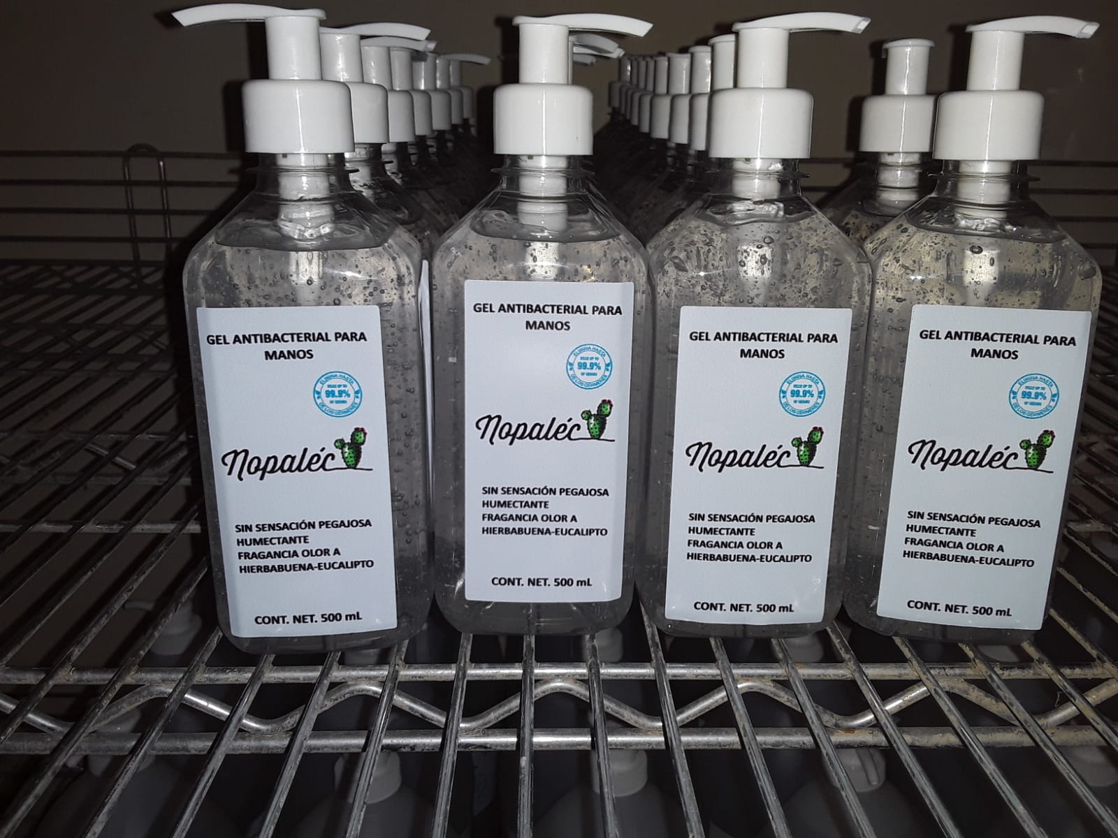 Sabinenses crean gel antibacterial hecho con nopal